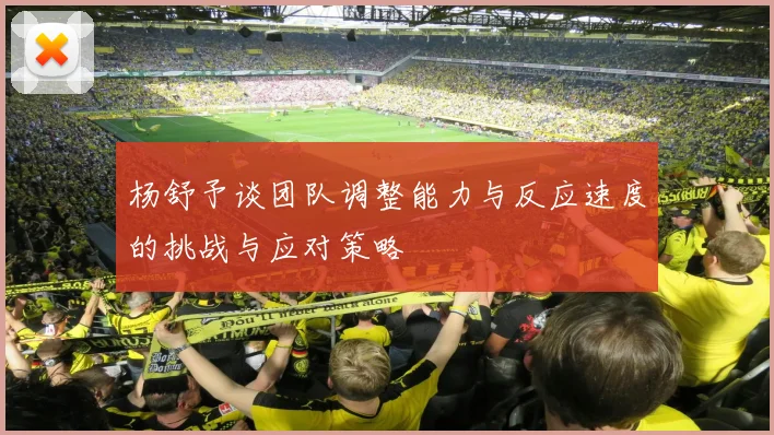 杨舒予谈团队调整能力与反应速度的挑战与应对策略